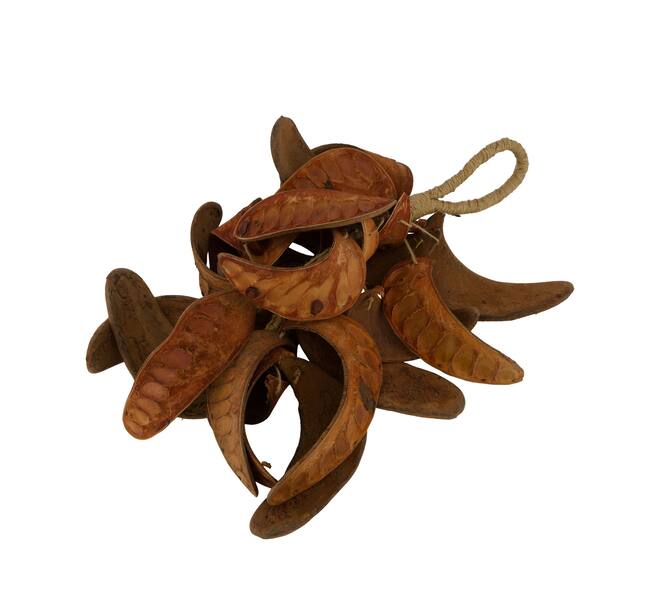 Hanger elephant ear nature 50x20x10cm - Natural
