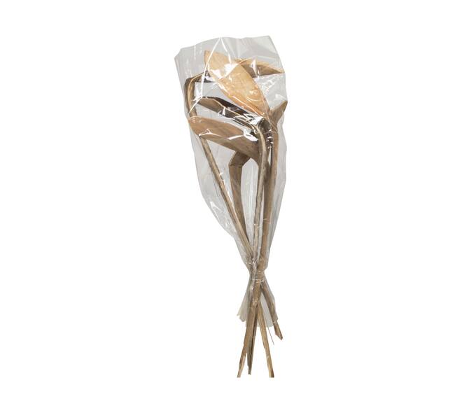 Branch shoe horn nature 67x20x8cm 5pc
