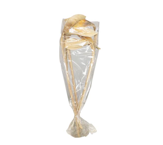 Branch shoe horn nature 67x20x8cm 5pc - Cream