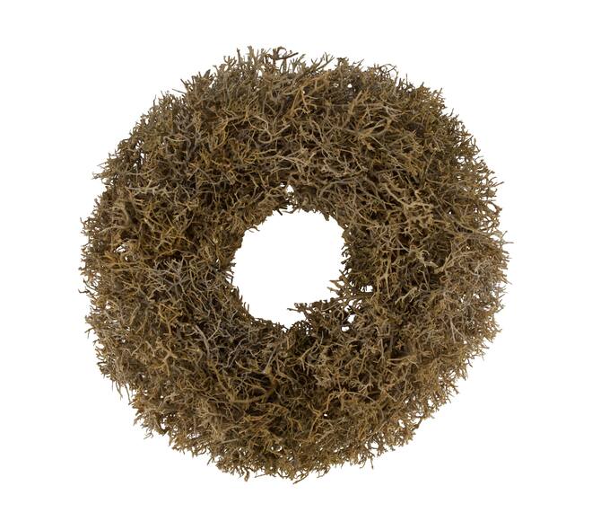 Wreath dry tree nature 55x55x13cm