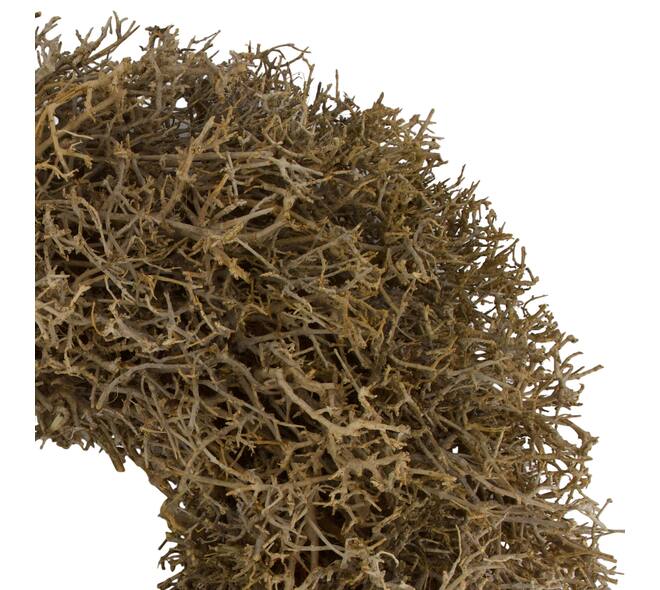 Wreath dry tree nature 55x55x13cm