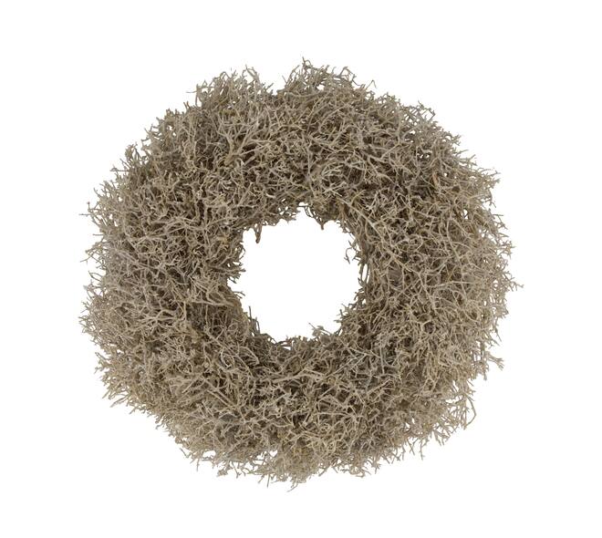 Wreath dry tree nature 55x55x13cm - White