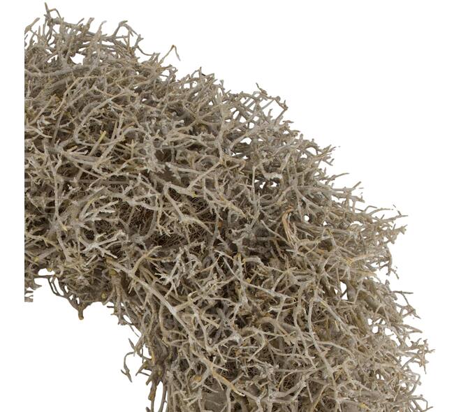 Wreath dry tree nature 55x55x13cm - White