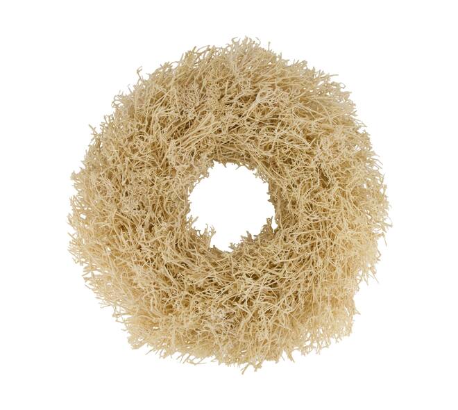 Wreath dry tree nature 55x55x13cm - Cream