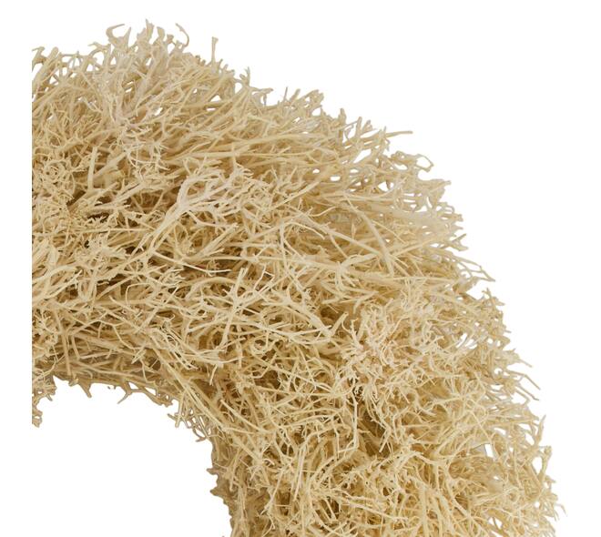 Wreath dry tree nature 55x55x13cm - Cream