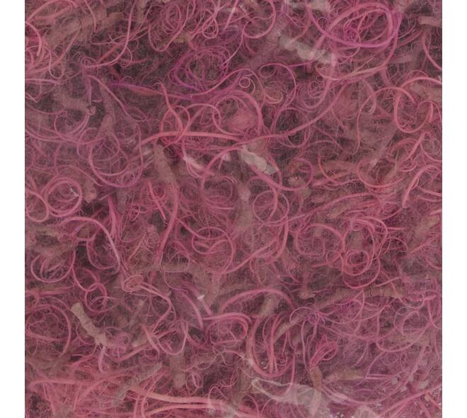 Moss curly nature 40x29x10cm 500gr - Pink