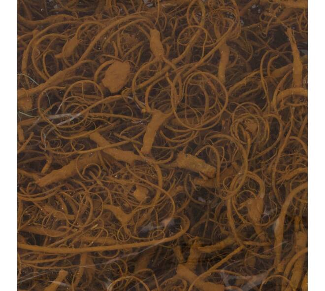 Moss curly 500gr nature 40x29x10cm - Orange