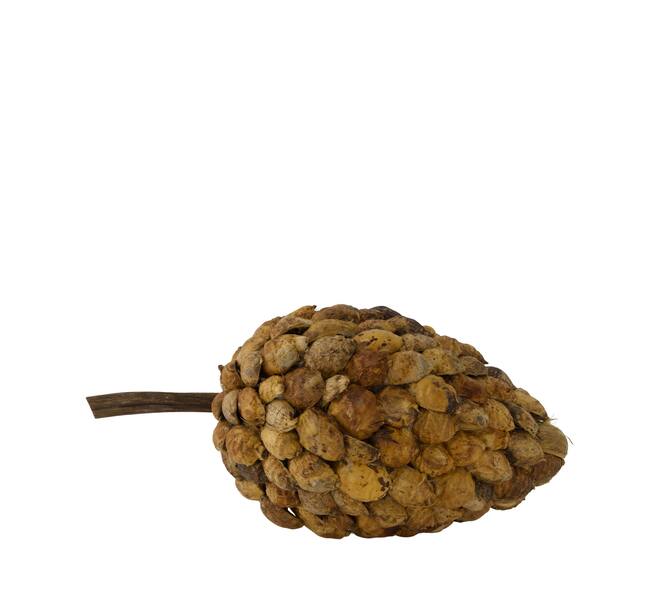 Stick betal pod dino cone nature 40x20x19cm - Natural