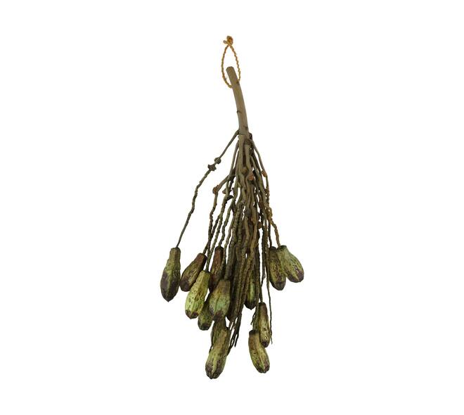 Branch with mahogany coco 65x20x10cm - Green