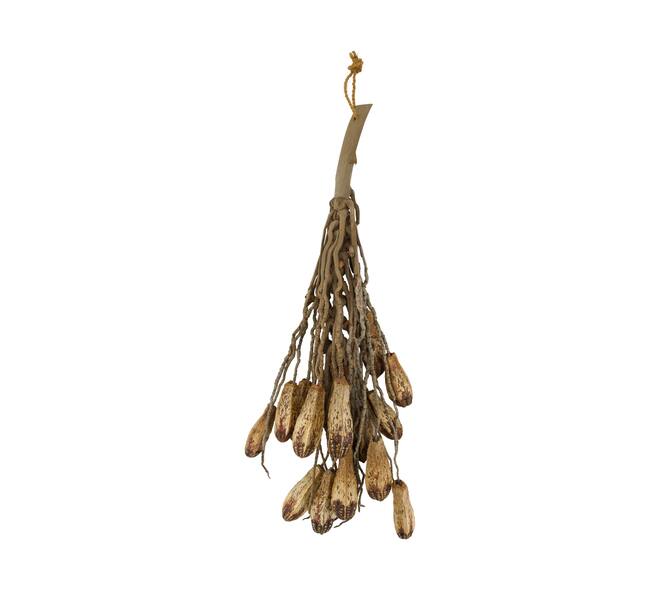 Branch with mahogany coco 65x20x10cm