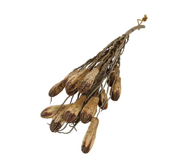 Branch with mahogany coco 65x20x10cm