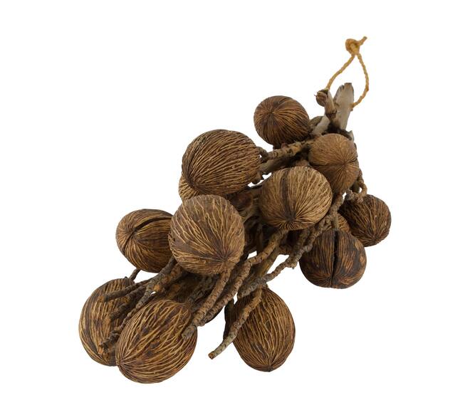 Branch with mintola ball coco 65x20x10cm - Natural