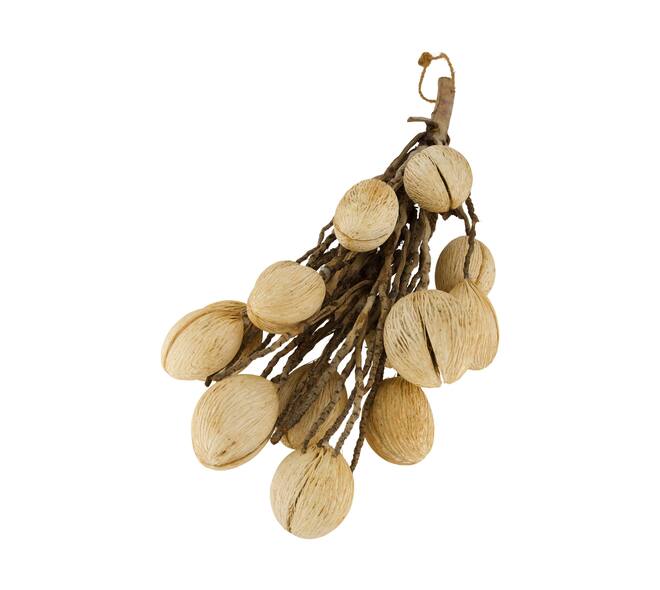 Branch with mintola ball coco 65x20x10cm - Cream