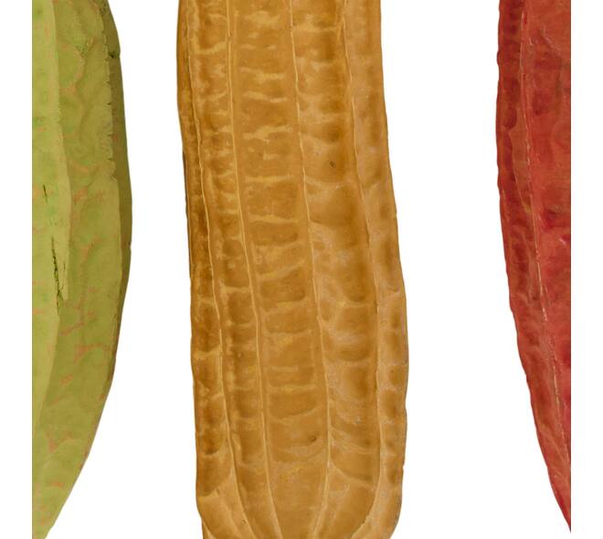 Fruit mix jhinga giant painted nature 43x8x8cm 4pc - Multi