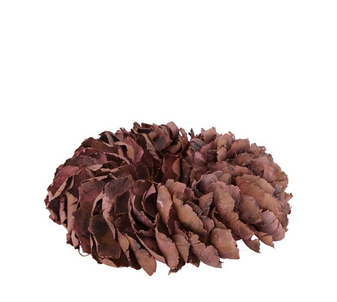 Wreath palm petal nature 37x37x8cm