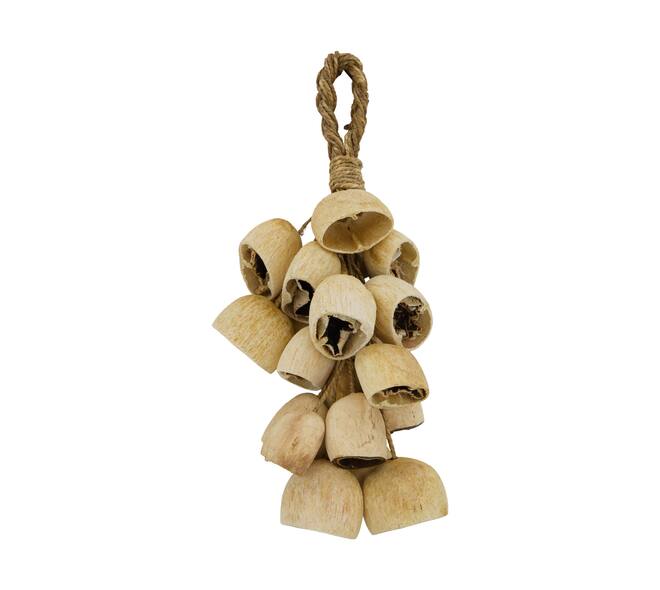 Hanger palm pod nature 55x22x13cm 20pc