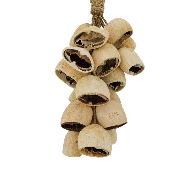 Hanger palm pod nature 55x22x13cm 20pc