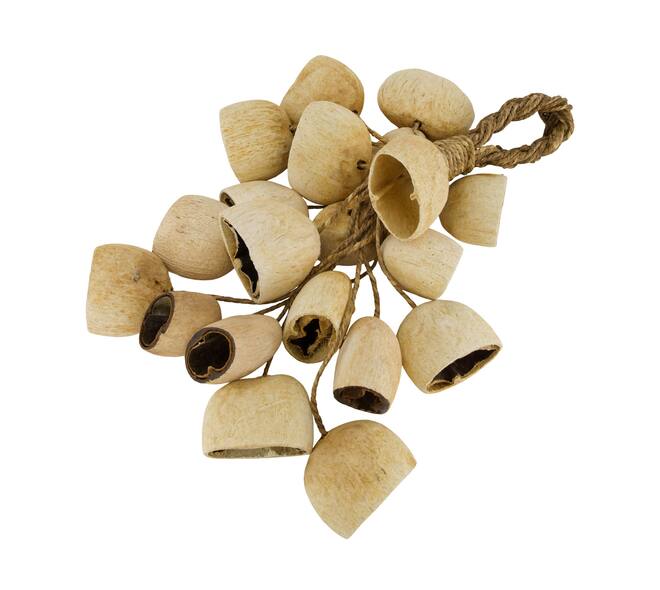 Hanger palm pod nature 55x22x13cm 20pc