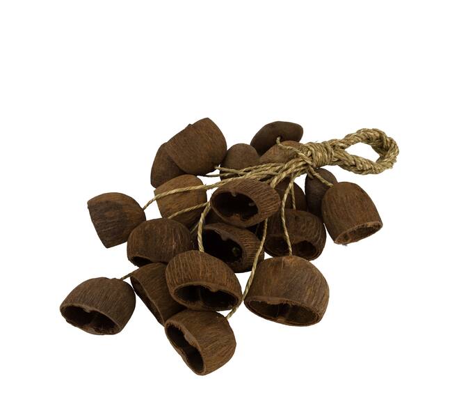 Hanger palm pod nature 55x22x13cm 20pc