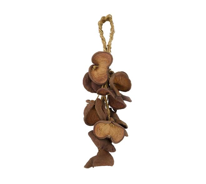 Hanger badam nature 60x20x15cm 15pc - Natural