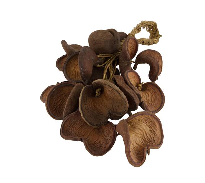 Hanger badam nature 60x20x15cm 15pc - Natural