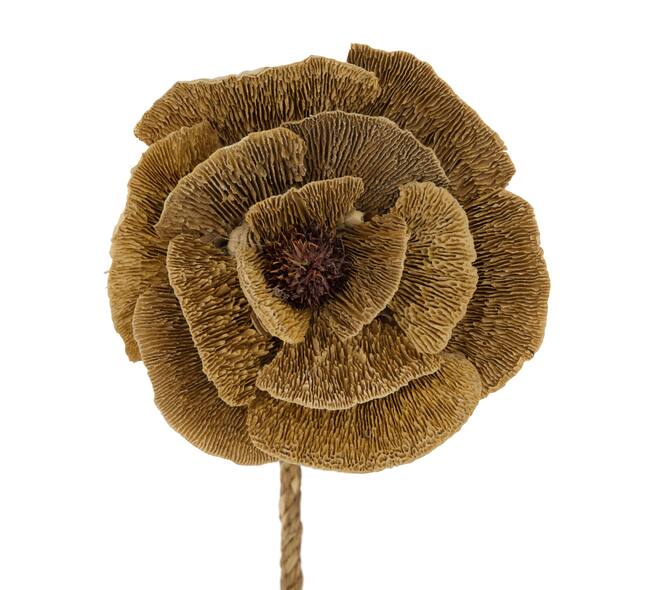 Flower sponge mushroom nature 70x13x18cm - Natural