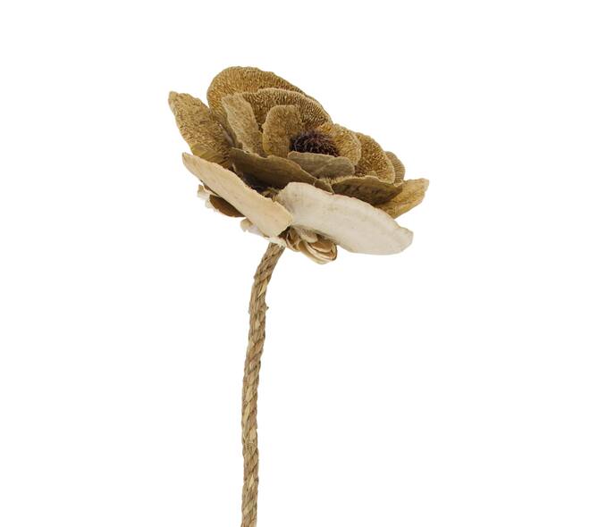 Flower sponge mushroom nature 70x13x18cm - Natural