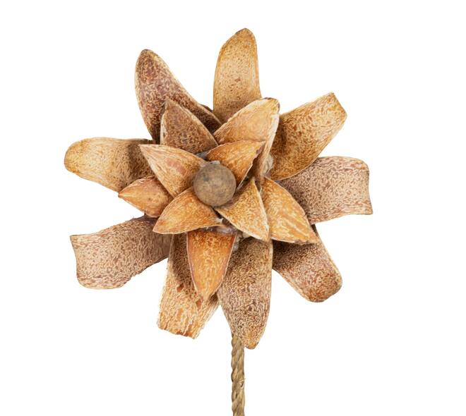 Flower mahogany spoon nature 70x15x15cm
