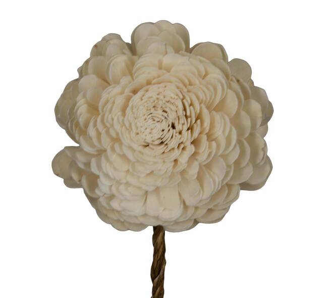 Flower sola belli nature 65x12x12cm