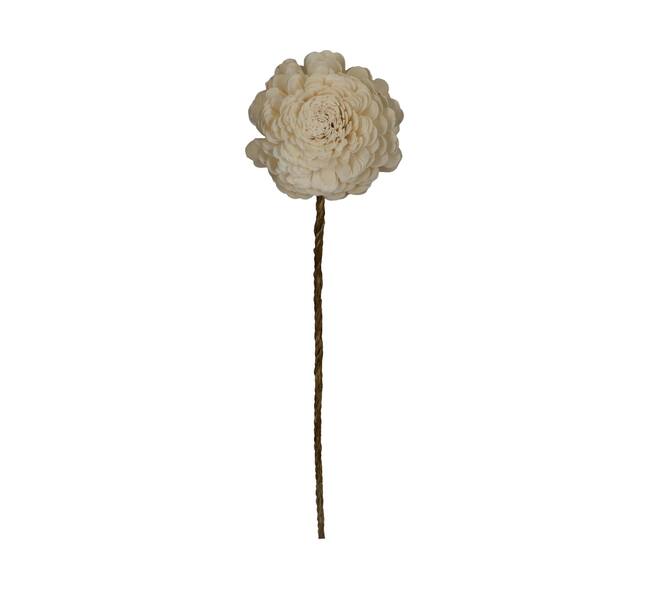 Flower sola belli nature 65x12x12cm