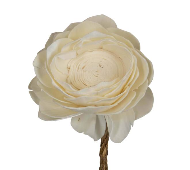 Flower sola lotus nature 65x12x12cm - White