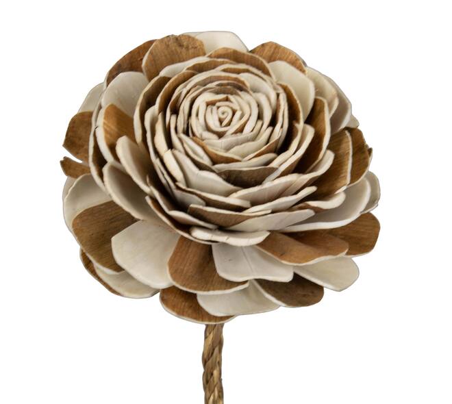 Flower sola buster gardenia two tone nature 65x12x12cm - Cream