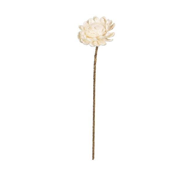 Flower sola new beauty rose kadam centre nature 65x12x12cm - Cream