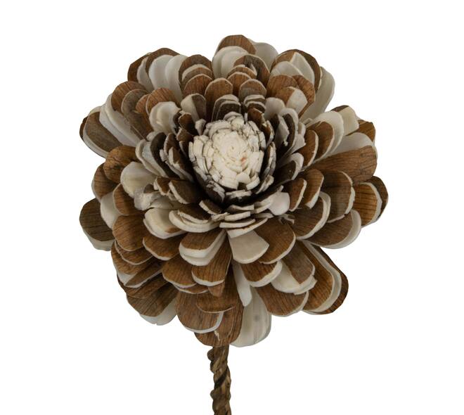 Flower sola belli nature 65x12x12cm - Cream