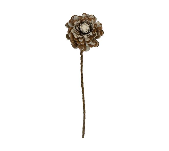 Flower sola belli nature 65x12x12cm - Cream
