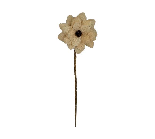 Flower luffa nature 75x15x15cm