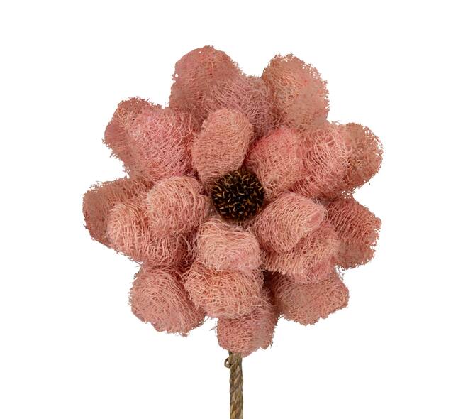 Flower luffa nature 75x15x15cm - Pink