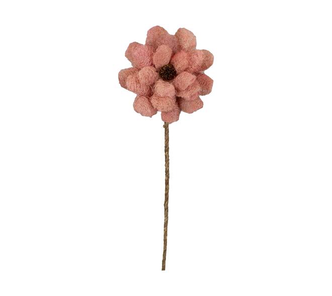 Flower luffa nature 75x15x15cm - Pink
