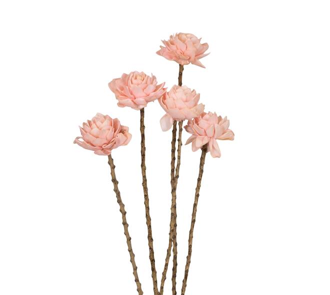 Flower sola dahlia coco 55x6x6cm 5pc