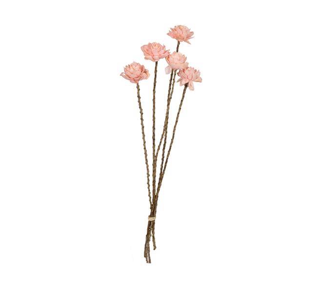 Flower sola dahlia coco 55x6x6cm 5pc
