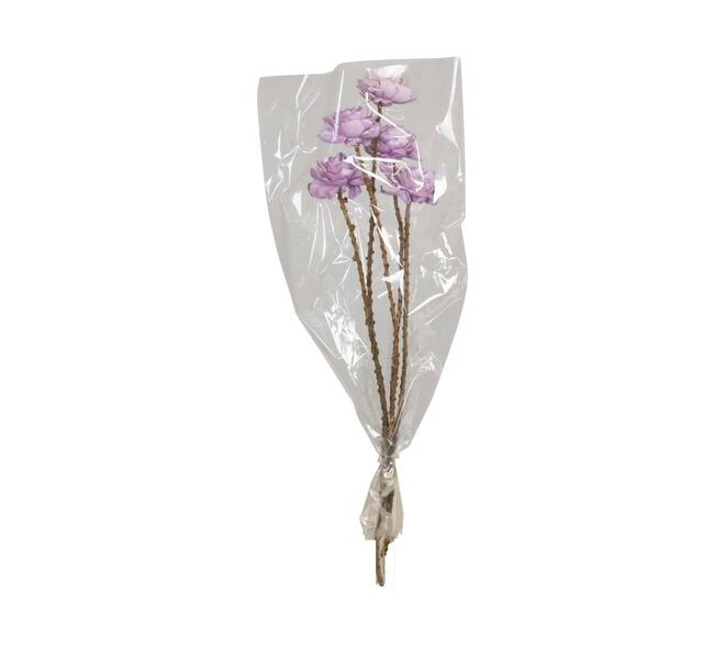 Flower sola dahlia coco 55x6x6cm 5pc - Purple