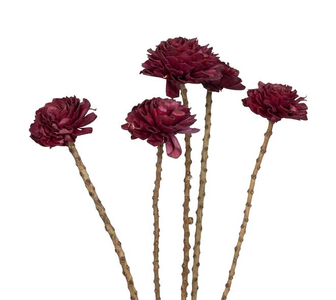 Flower sola dahlia coco 55x6x6cm 5pc - Purple