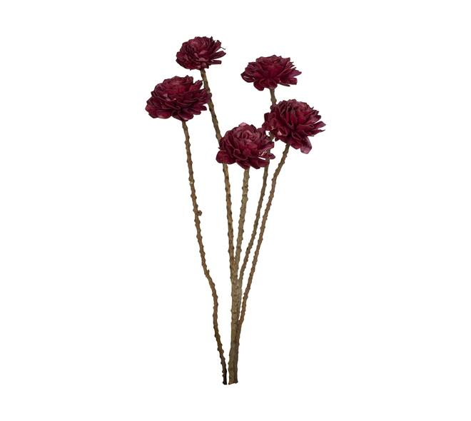 Flower sola dahlia coco 55x6x6cm 5pc - Purple