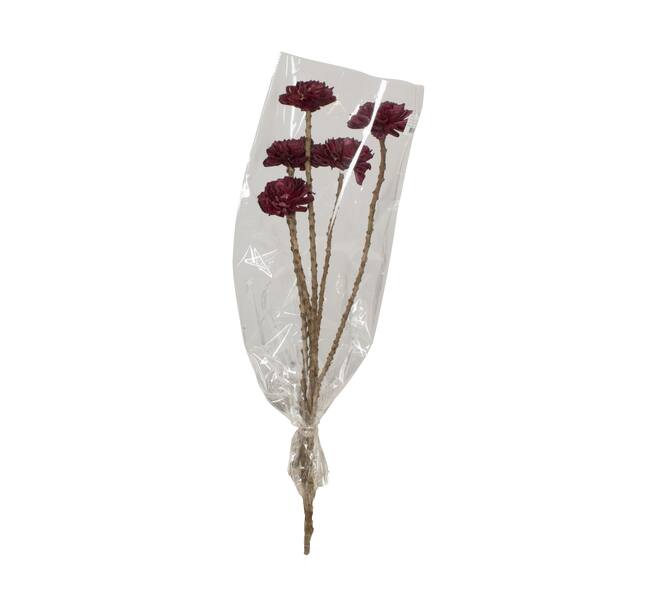 Flower sola dahlia coco 55x6x6cm 5pc - Purple