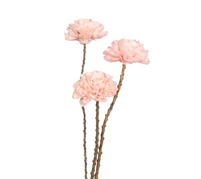 Flower sola dahlia coco 55x10x10cm 3pc - Pink