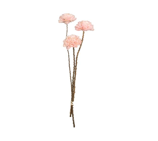 Flower sola dahlia coco 55x10x10cm 3pc - Pink