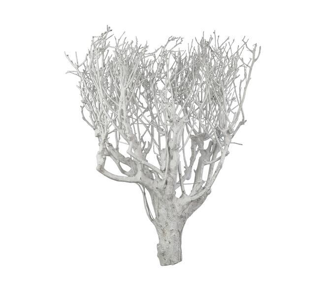 Branch tea bush giant nature 100x9x5cm