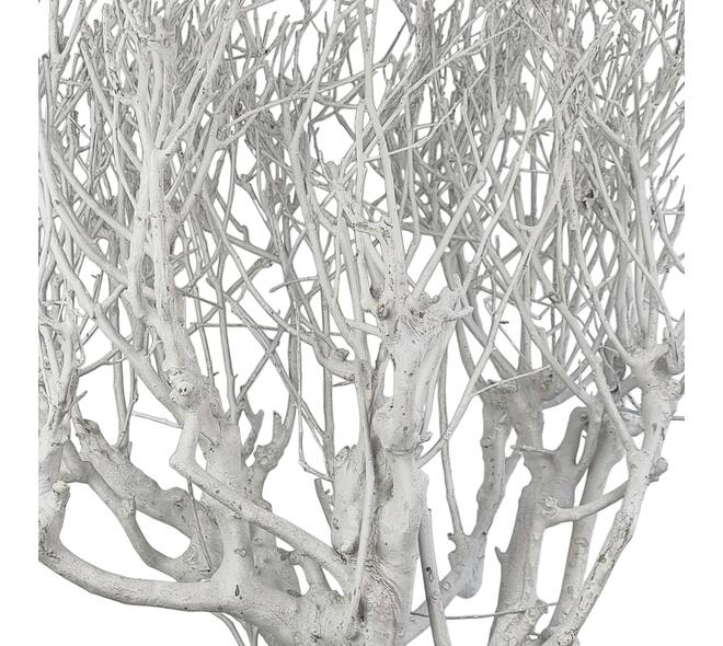 Branch tea bush giant nature 100x9x5cm