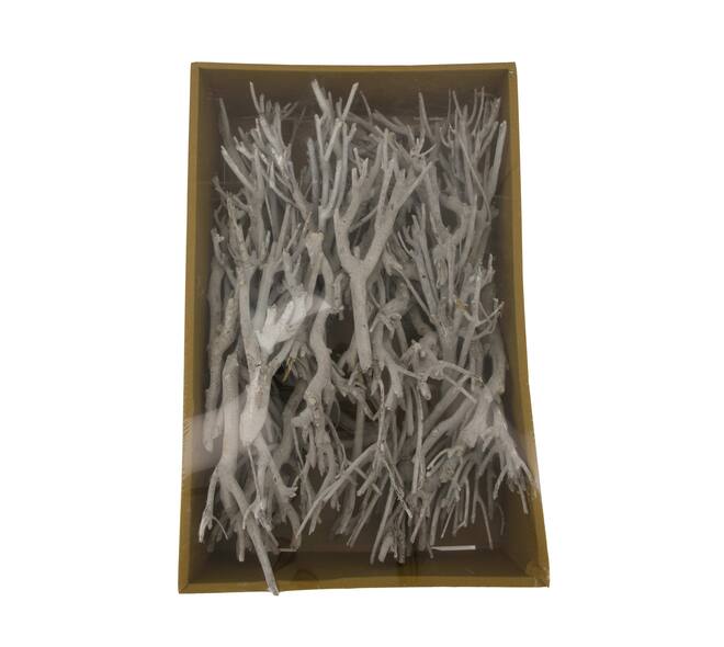 Branch john tray nature 58x38x14cm