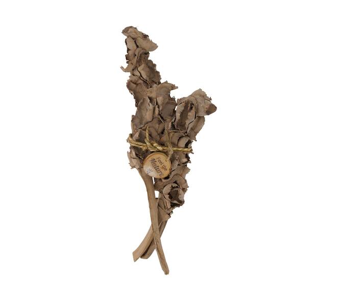 Stick palm female bundle with vizy rope nature 11x5x30cm - Cream
